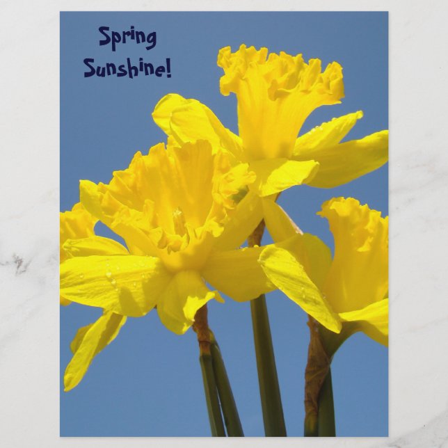 Papel scrapbook Luz de Primavera Flores Narcisos (Frente)