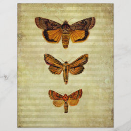 Papel Scrapbook para traços e traços amarelos