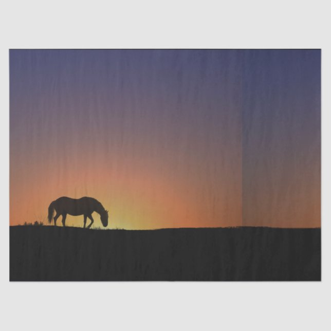 Papel Tecido Cavalo (Frente )