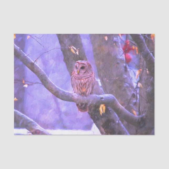 Papel Tecido da Casca-de-inverno (Frente )