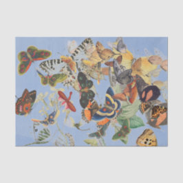 Papel Tecido de BORRACHA