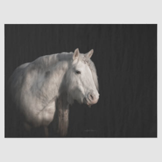 Papel Tecido de Decoupage de Cavalos Selvagens