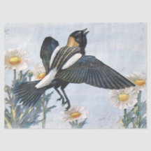 Papel Tecido de Decoupage de Pássaros Bobolink