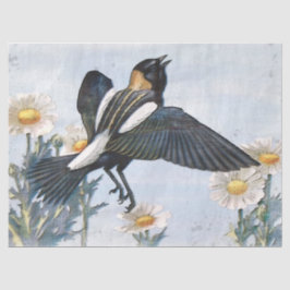 Papel Tecido de Decoupage de Pássaros Bobolink