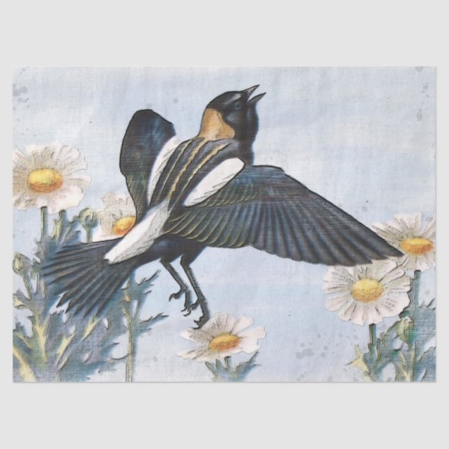 Papel Tecido de Decoupage de Pássaros Bobolink (Frente )