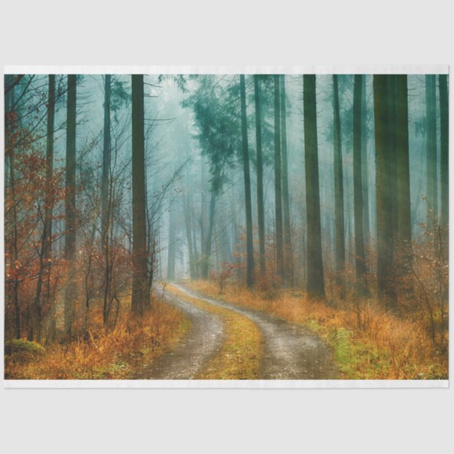 Papel Tecido de Decoupage do Caminho da Floresta o (Frente )