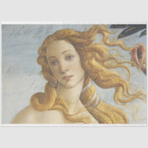 Papel Tecido de Decoupage do Mobiliário Vênus