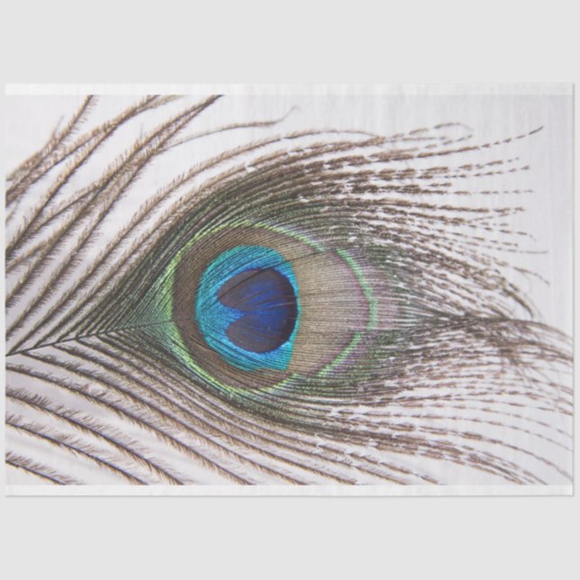 Papel Tecido de Descolagem da Pavão 3 (Frente )
