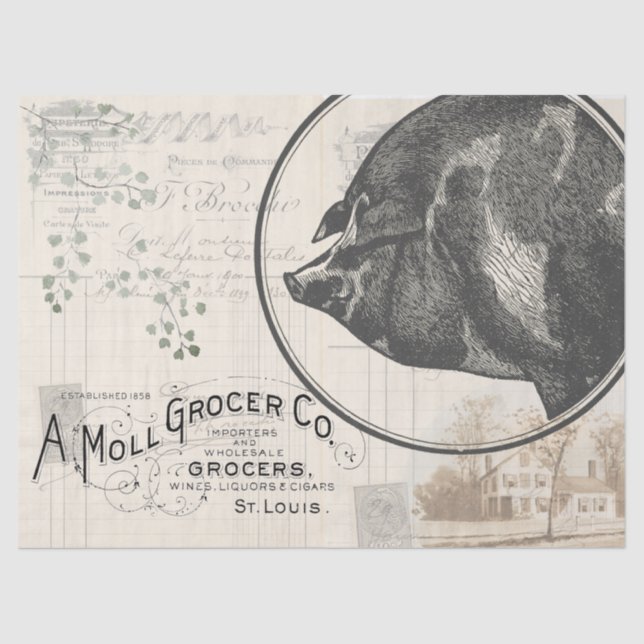 Papel Tecido de Desenho de Suíno de Fábrica (Frente )