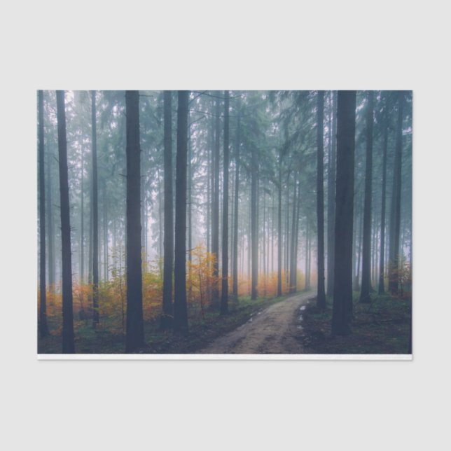 Papel Tecido de Desvinculação do Caminho da Flores (Frente )