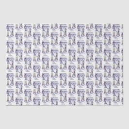 Papel Tecido de Quebra de Mola