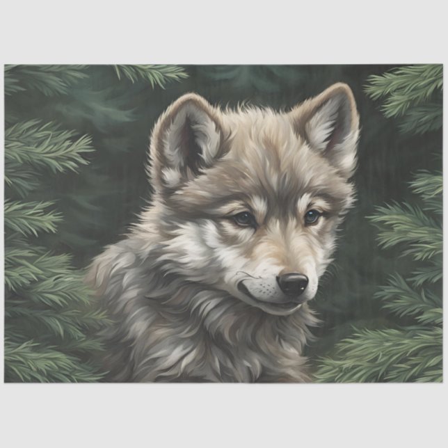 Papel Tecido do Wolf Cub do North Woods (Frente )