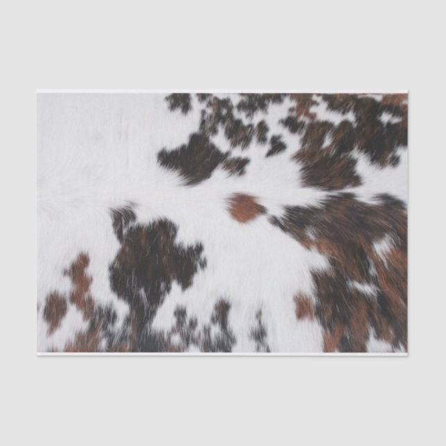 Papel Tecido e Papel Secundário - Esfregar (Frente )