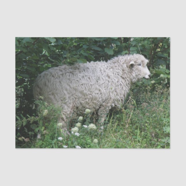 Papel Tecido Gelado E Gelado (Frente )