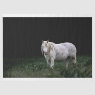 Papel Tecido Selvagem de Cavalos