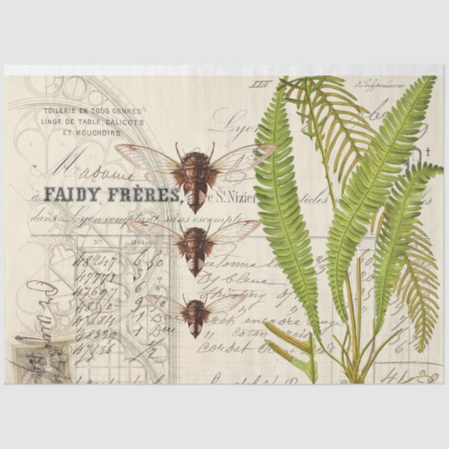 Papel Tecidual de Decoupage de Fern Moth (Frente )