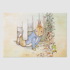 Papel Tecidual Peter Rabbit