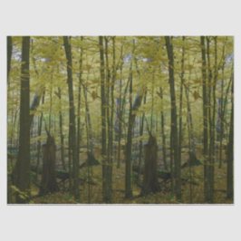 Papel tecidular das árvores verdes e negras