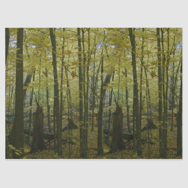 Papel tecidular das árvores verdes e negras (Frente )