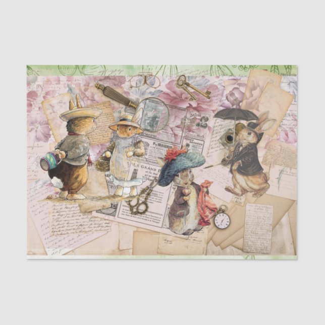 papel tecidular de coelho peter (Frente )