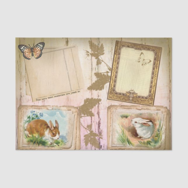 Papel tecidular para coelhos de parada (Frente )