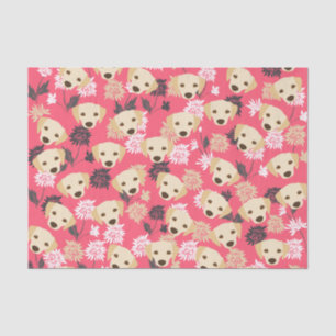 Papel Teclado Labrador