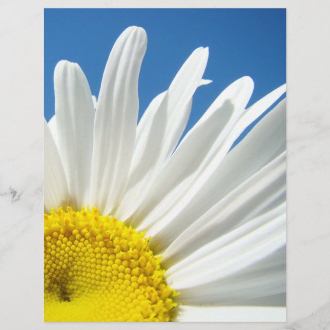 Papel tema scrapbook Floral Flores de Margarida Br (Frente)