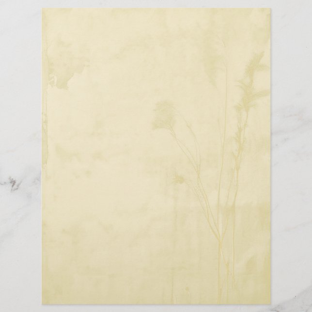 Papel timbrado (Frente)