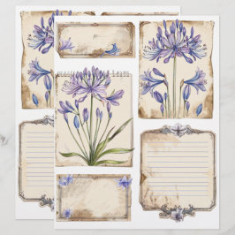 Papel Timbrado Agapanthus Fussy Cut Ephemera
