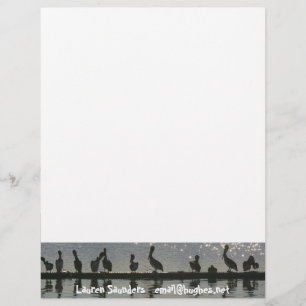 Papel Timbrado Aves Pelicanas Animais Selvagens