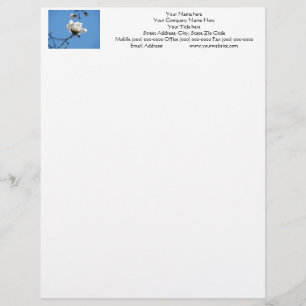 Papel Timbrado Azul-céu branco Magnolia Flor personalizado timbra