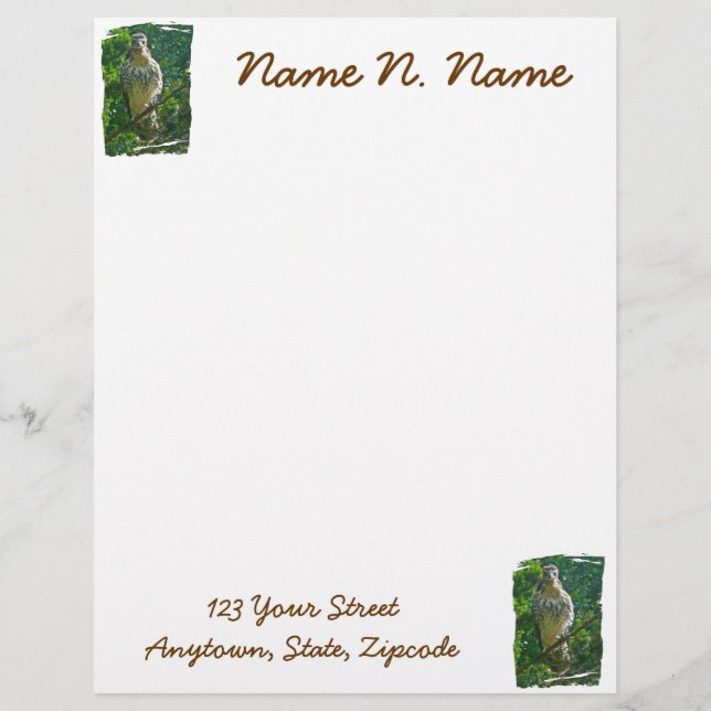 Papel Timbrado Bebê Red Tailed Hawk Letterhead (Frente)