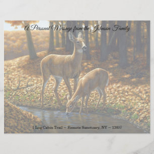 Papel Timbrado Bebendo Whitetail Doe e Fawn de uma Stream Lett