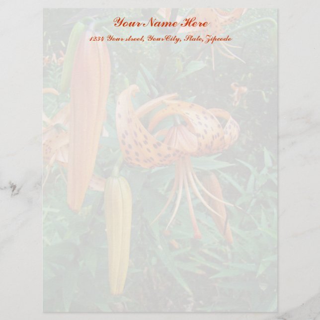Papel Timbrado Boné de Turk Lily Wildflower (Frente)