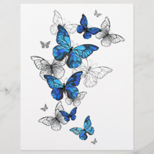 Papel Timbrado Borboletas Azuis Morpho