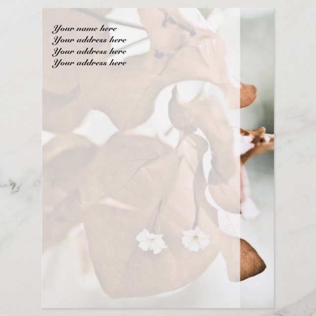 Papel Timbrado Bougainvillea Vermelha (Frente)