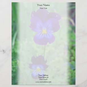 Papel Timbrado Cabeçalho ainda vivo dos Pansies