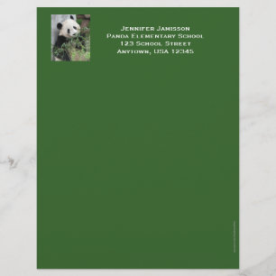 Papel Timbrado Cabeçalho da apreciação do professor, panda,