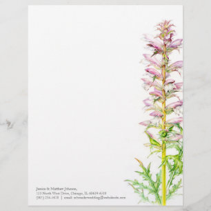 Papel Timbrado Cabeçalho da arte da aguarela do verde do rosa da