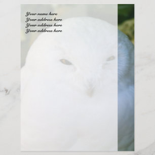 Papel Timbrado Cabeçalho de Carta Personalizado da Coruja da Neve
