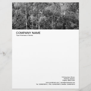 Papel Timbrado Cabeçalho de Imagem Grande - Berço Prateado