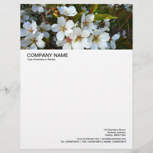 Papel Timbrado Cabeçalho de Imagem Grande - Flor De Cereja 02