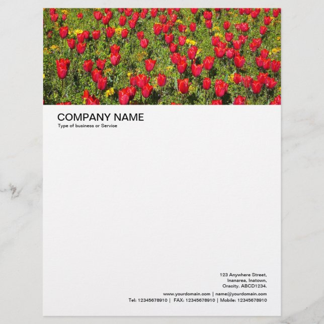 Papel Timbrado Cabeçalho de Imagem Grande - Tulipas Vermelhas (Frente)