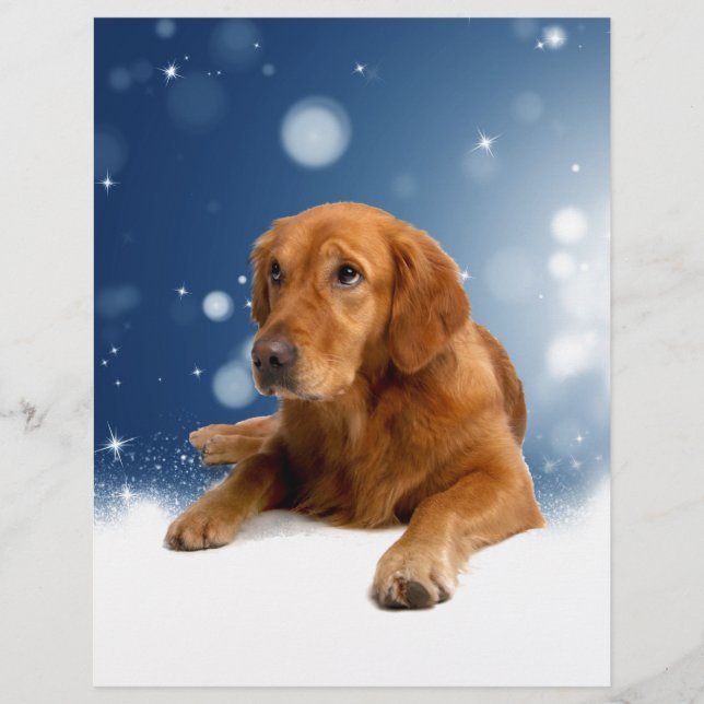 Papel Timbrado Cachorro de Ouro giro sentado em estrelas de neve (Frente)
