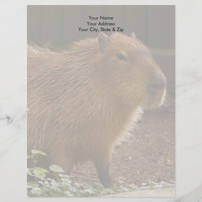 Papel Timbrado Capybara (Frente)