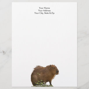 Papel Timbrado Capybara