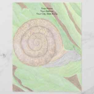 Papel Timbrado Caracol