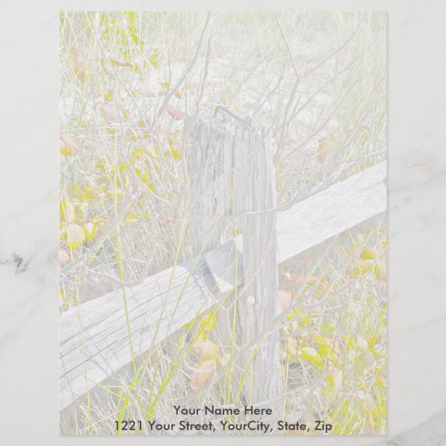 Papel Timbrado Cerca e veneno Ivy IBSP Letterhead (Frente)