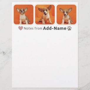 Papel Timbrado Colagem de 3 Fotos Personalizadas do Cachorro Nome