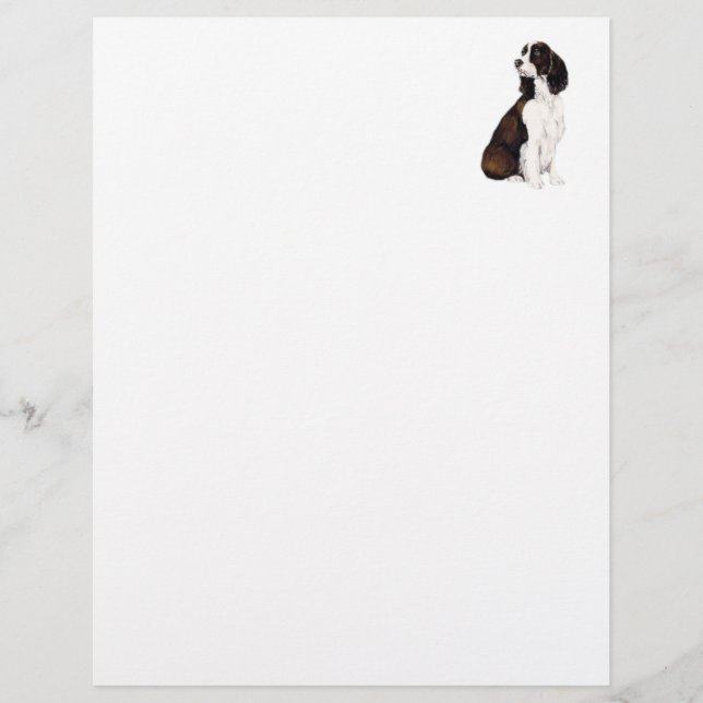 Papel Timbrado com Arte de Cão Springer Spaniel In (Frente)